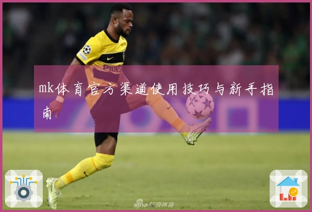 mk体育官方渠道使用技巧与新手指南