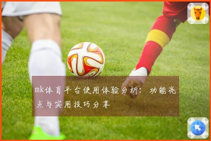 mk体育平台使用体验分析：功能亮点与实用技巧分享